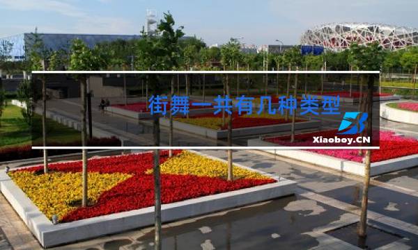 街舞一共有几种类型