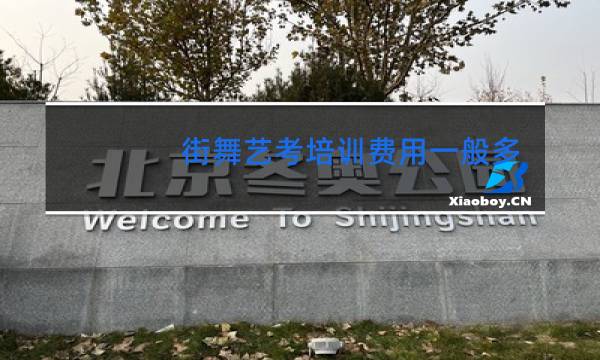 街舞艺考培训费用一般多少图片