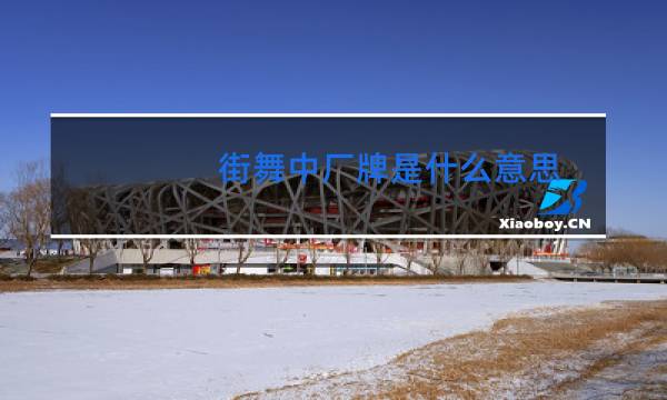 街舞中厂牌是什么意思图片