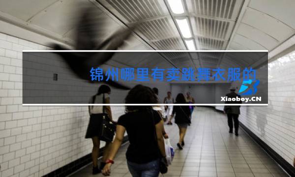 锦州哪里有卖跳舞衣服的