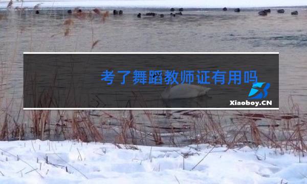 考了舞蹈教师证有用吗