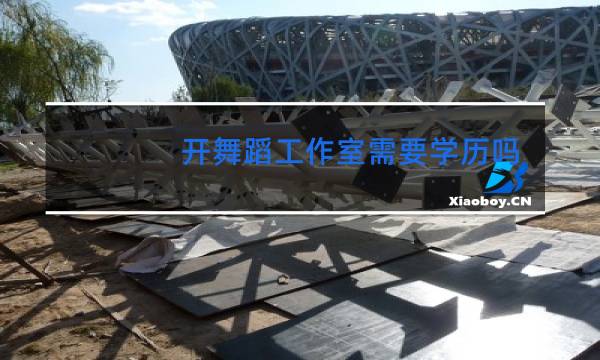 开舞蹈工作室需要学历吗