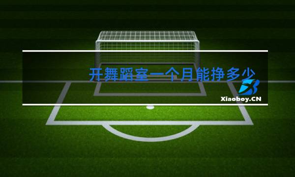 开舞蹈室一个月能挣多少钱