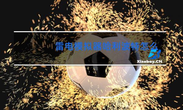 雷电模拟器哈利波特怎么跳舞