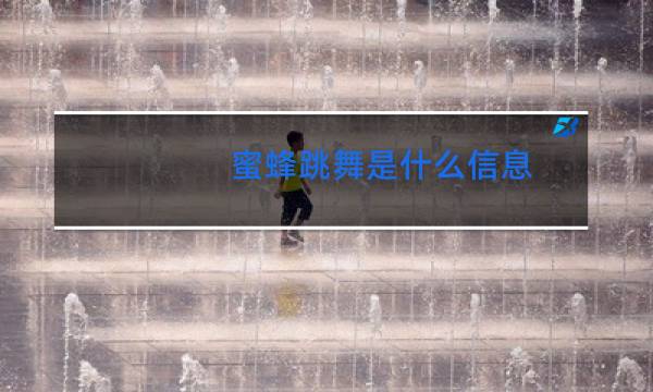 蜜蜂跳舞是什么信息