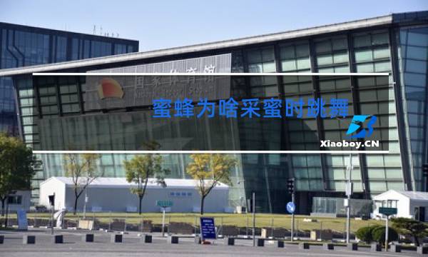 蜜蜂为啥采蜜时跳舞