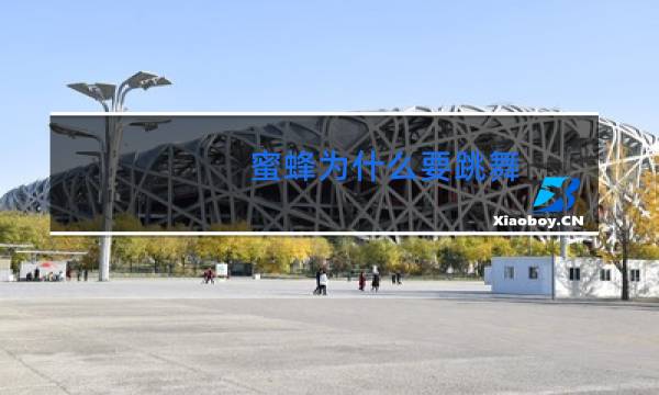 蜜蜂为什么要跳舞