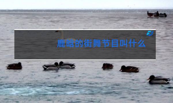 鹿晗的街舞节目叫什么