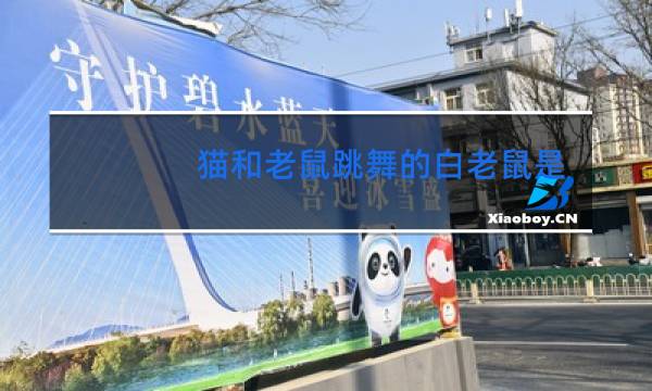 猫和老鼠跳舞的白老鼠是第几集