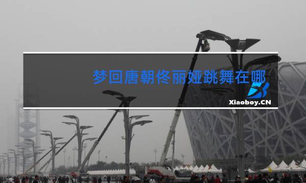 梦回唐朝佟丽娅跳舞在哪些集图片