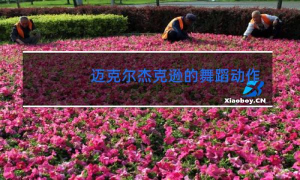 迈克尔杰克逊的舞蹈动作有什么意义