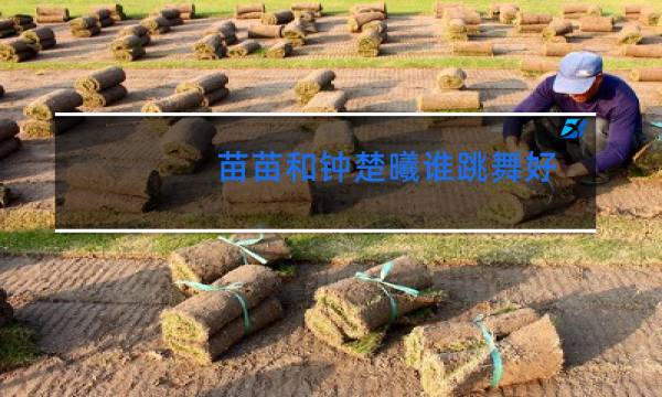 苗苗和钟楚曦谁跳舞好