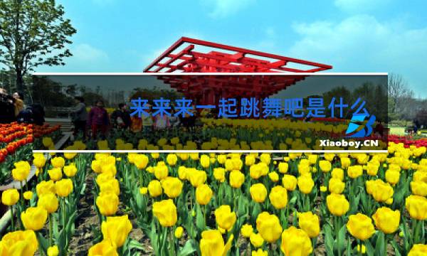 来来来一起跳舞吧是什么歌新裤子