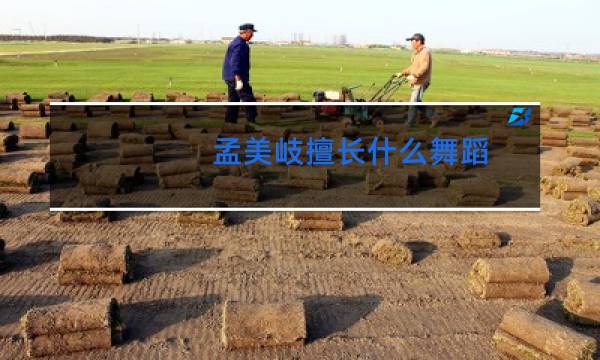 孟美岐擅长什么舞蹈