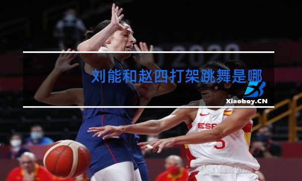 刘能和赵四打架跳舞是哪一部哪一集