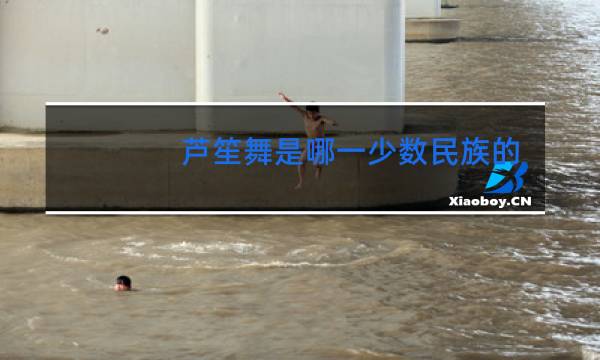 芦笙舞是哪一少数民族的舞蹈图片