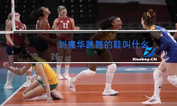 刘宪华跳舞的鞋叫什么