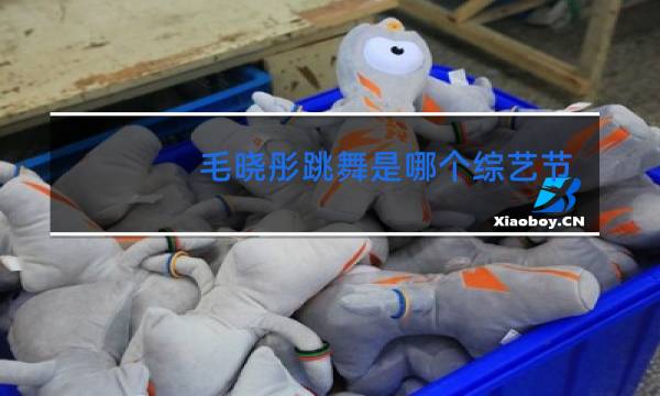 毛晓彤跳舞是哪个综艺节目