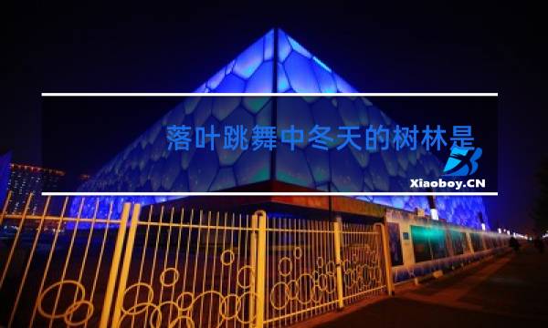 落叶跳舞中冬天的树林是什么样的