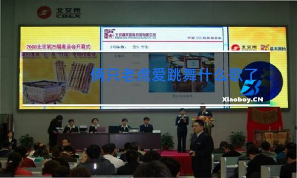 俩只老虎爱跳舞什么歌了