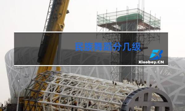 民族舞蹈分几级图片