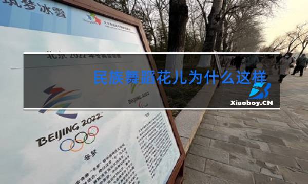 民族舞蹈花儿为什么这样红赏析