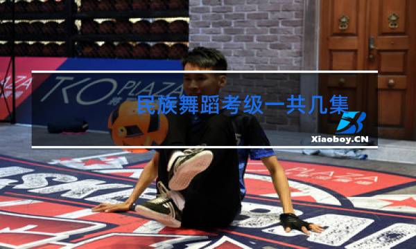 民族舞蹈考级一共几集