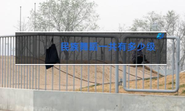 民族舞蹈一共有多少级