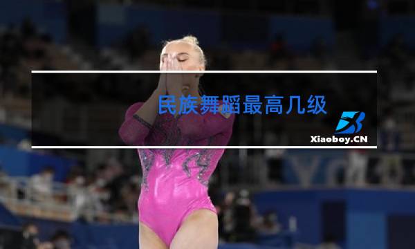 民族舞蹈最高几级
