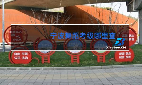 宁波舞蹈考级哪里查