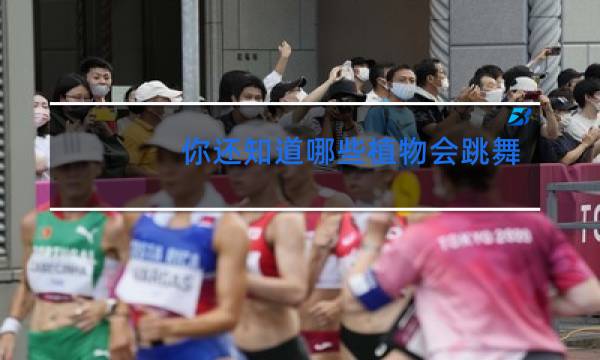 你还知道哪些植物会跳舞