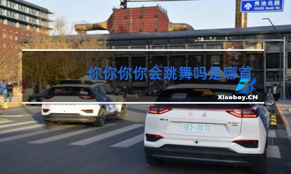 你你你你会跳舞吗是哪首歌