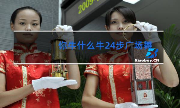 你牛什么牛24步广场舞