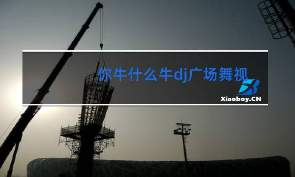 你牛什么牛dj广场舞视频