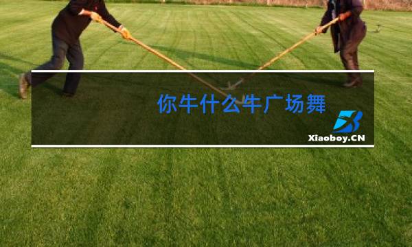 你牛什么牛广场舞
