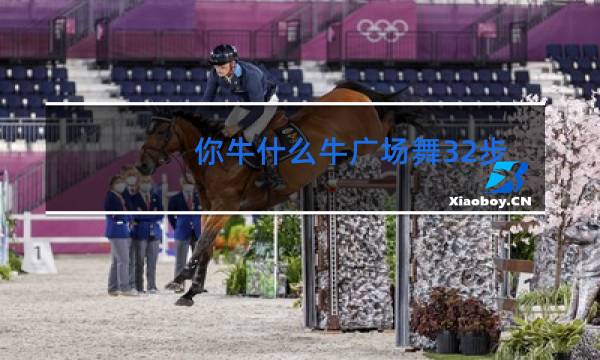 你牛什么牛广场舞32步