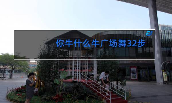 你牛什么牛广场舞32步图片