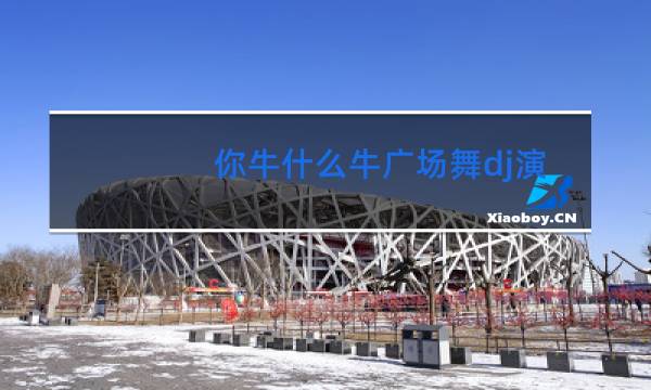 你牛什么牛广场舞dj演示悦儿美美哒