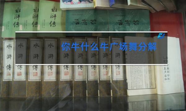 你牛什么牛广场舞分解图片