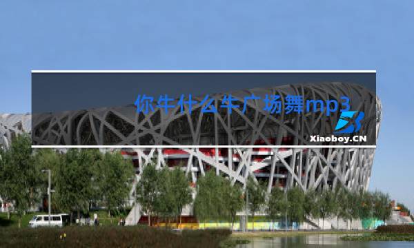 你牛什么牛广场舞mp3