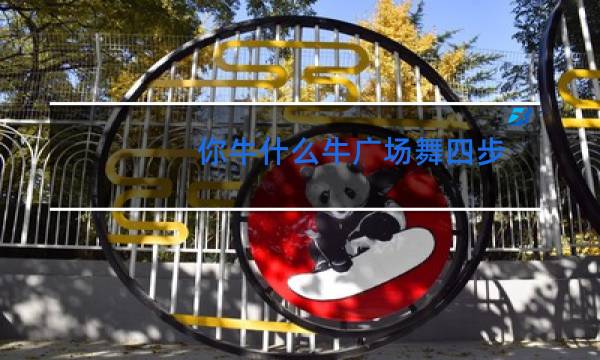 你牛什么牛广场舞四步