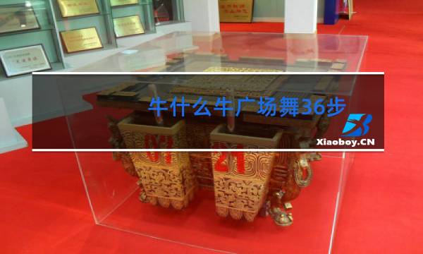 牛什么牛广场舞36步
