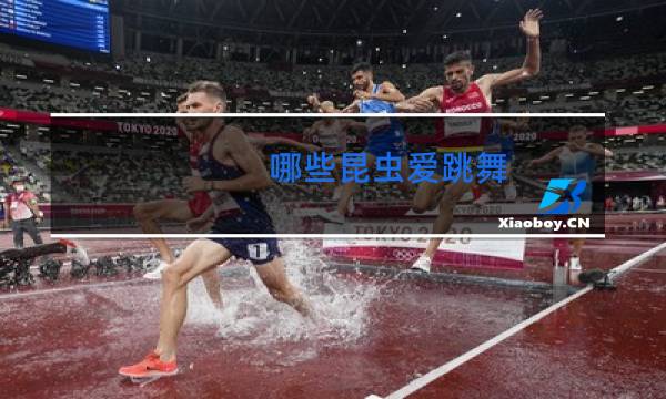 哪些昆虫爱跳舞