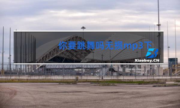 你要跳舞吗无损mp3下载