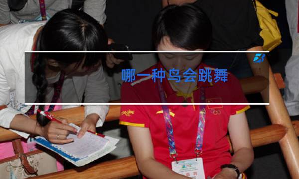 哪一种鸟会跳舞