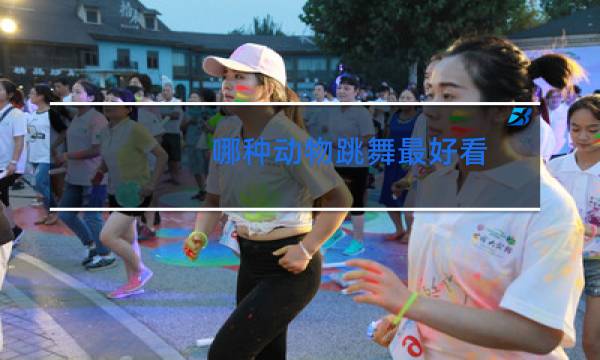 哪种动物跳舞最好看