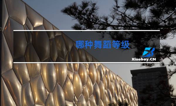 哪种舞蹈等级图片