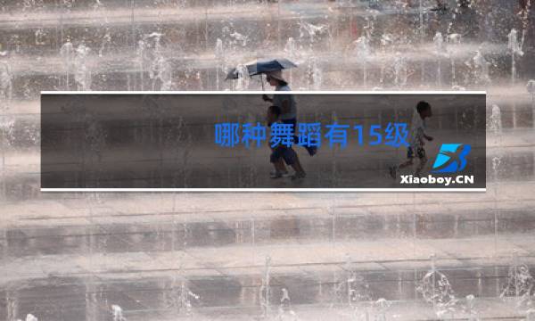 哪种舞蹈有15级图片