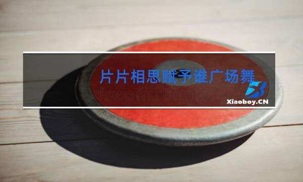 片片相思赋予谁广场舞
