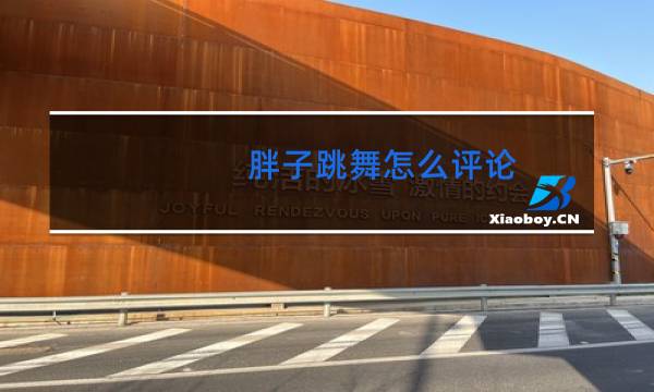胖子跳舞怎么评论